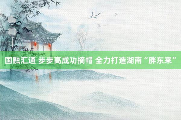 国融汇通 步步高成功摘帽 全力打造湖南“胖东来”