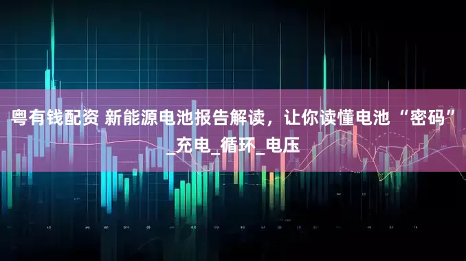粤有钱配资 新能源电池报告解读，让你读懂电池 “密码”_充电_循环_电压