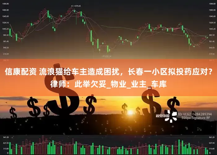 信康配资 流浪猫给车主造成困扰，长春一小区拟投药应对？律师：此举欠妥_物业_业主_车库