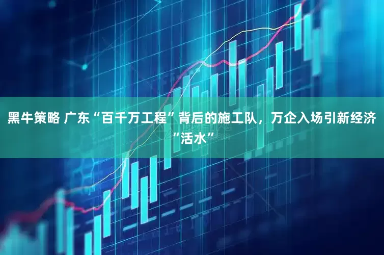黑牛策略 广东“百千万工程”背后的施工队，万企入场引新经济“活水”