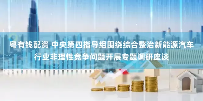 粤有钱配资 中央第四指导组围绕综合整治新能源汽车行业非理性竞争问题开展专题调研座谈