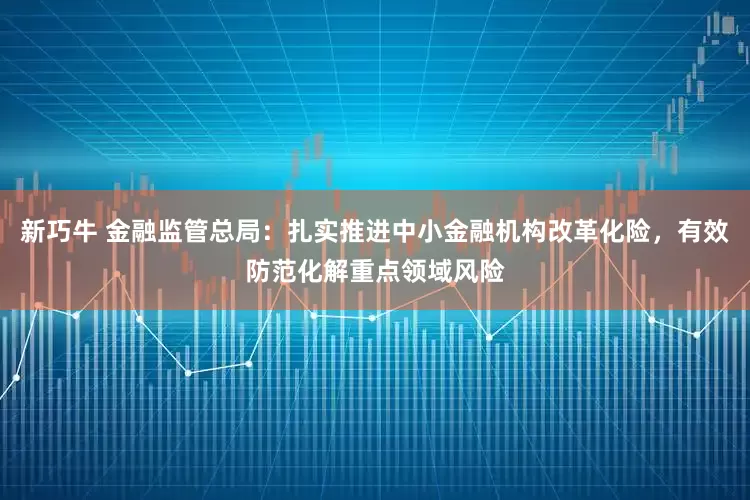新巧牛 金融监管总局：扎实推进中小金融机构改革化险，有效防范化解重点领域风险