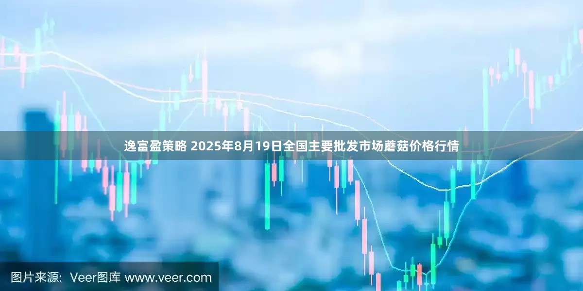 逸富盈策略 2025年8月19日全国主要批发市场蘑菇价格行情