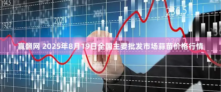 赢翻网 2025年8月19日全国主要批发市场蒜苗价格行情